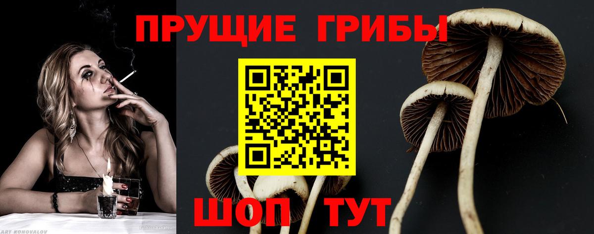 Галлюциногенные грибы GOLDEN TEACHER Десногорск